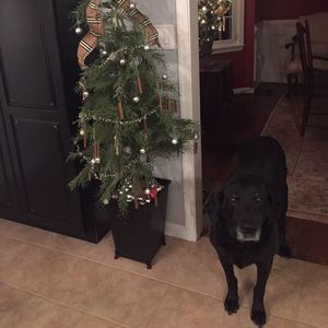 Meet your Posher, Colleen